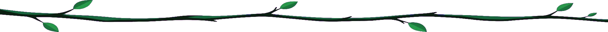 Branch